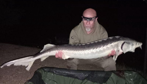 A carp from Zentelles, Apr 2026