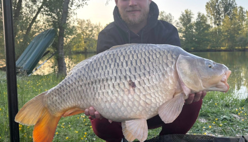 A carp from Zentelles, Dec 2025