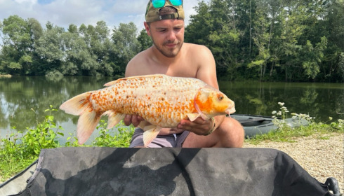 A carp from Zentelles, Dec 2025
