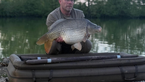 A carp from Le Sauci, Apr 2026