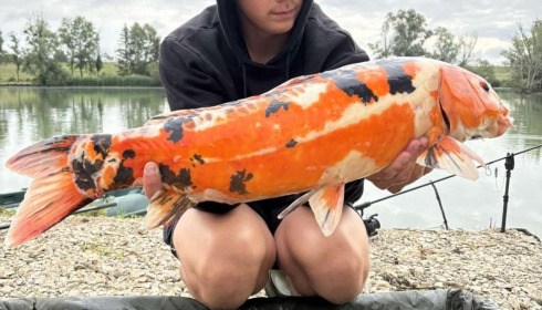 A carp from Le Sauci, Dec 2025