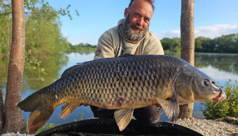 A carp from Le Sauci, Dec 2025