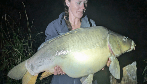 A 37 lb carp from Le Sauci, 37lb Mirror, Aug 2026