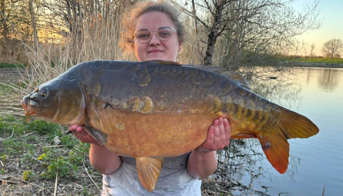 A carp from Le Sauci, Dec 2025