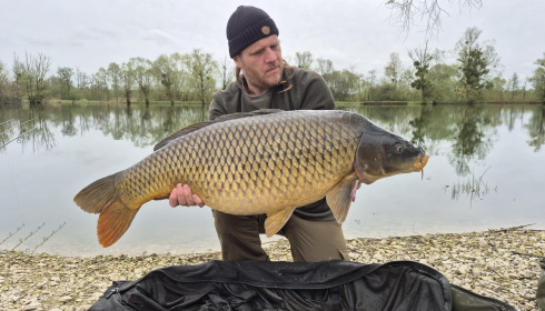 A carp from Le Sauci, Apr 2026