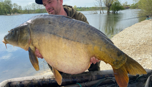 A carp from Le Sauci, Dec 2025