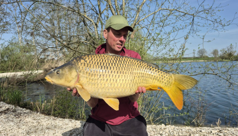 A carp from Le Sauci, Apr 2026