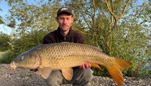 A carp from Le Sauci, Dec 2025