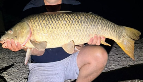 A 25 lb carp from Le Sauci, Common, Aug 2026
