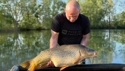 A carp from Le Sauci, Apr 2026
