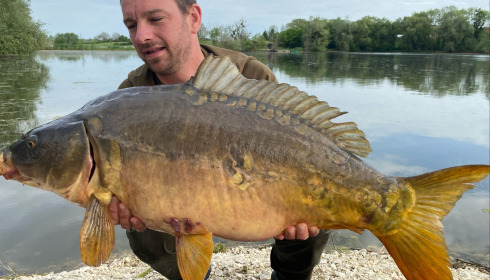 A carp from Le Sauci, Dec 2025