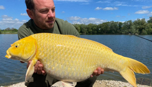 A carp from Le Sauci, Dec 2025