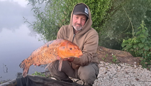 A carp from Le Sauci, Dec 2025