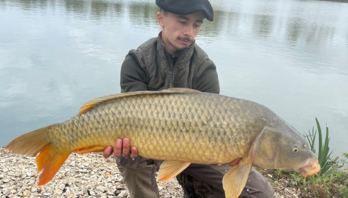 A carp from Le Sauci, Dec 2025