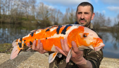 A carp from Le Sauci, Dec 2025