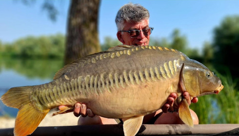 A carp from Le Sauci, Aug 2026