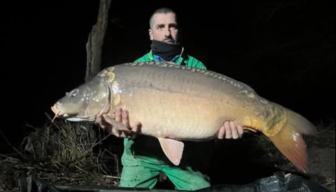 A carp from Le Sauci, Dec 2025
