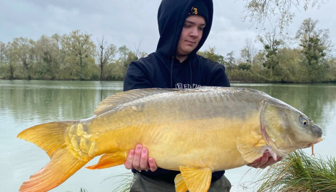 A carp from Le Sauci, Dec 2025