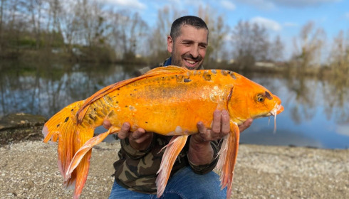 A carp from Le Sauci, Dec 2025