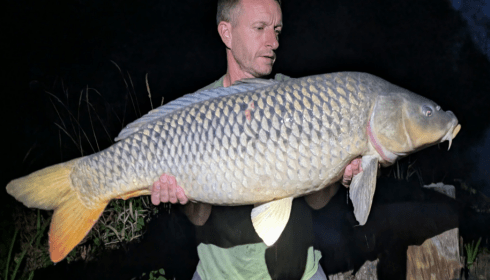 A 39 lb carp from Le Sauci, 39lb Common, Aug 2026