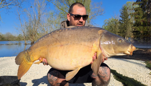 A carp from Le Sauci, Dec 2025