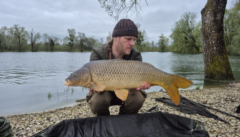 A carp from Le Sauci, Apr 2026