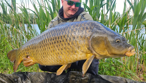 A carp from Le Sauci, Dec 2025