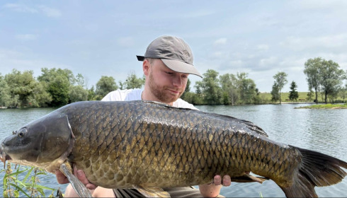 A carp from Le Sauci, Dec 2025