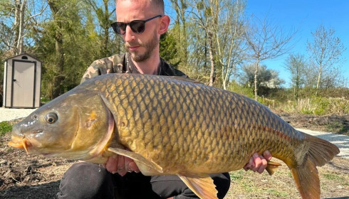 A carp from Le Sauci, Dec 2025