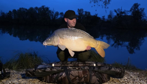 A carp from Le Sauci, Dec 2025