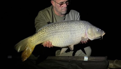A carp from Le Sauci, Apr 2026