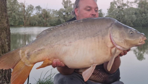 A carp from Le Sauci, Dec 2025