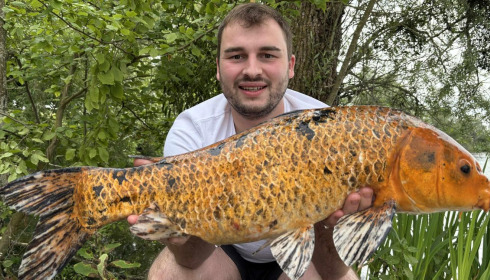 A carp from Le Sauci, Dec 2025