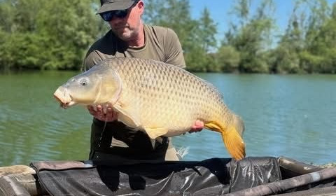 A carp from Le Sauci, Apr 2026