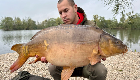 A carp from Le Sauci, Dec 2025