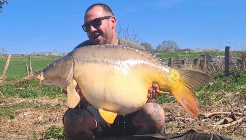 A carp from Le Sauci, Dec 2025