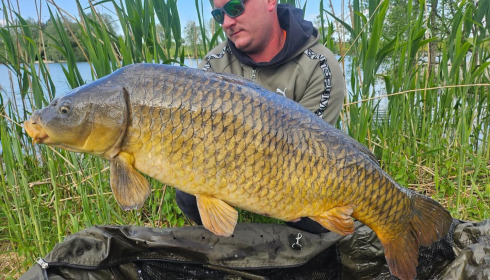 A carp from Le Sauci, Dec 2025