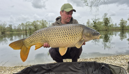A carp from Le Sauci, Apr 2026