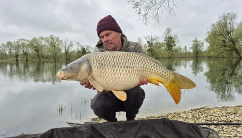 A carp from Le Sauci, Apr 2026