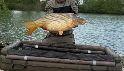 A carp from Le Sauci, Apr 2026