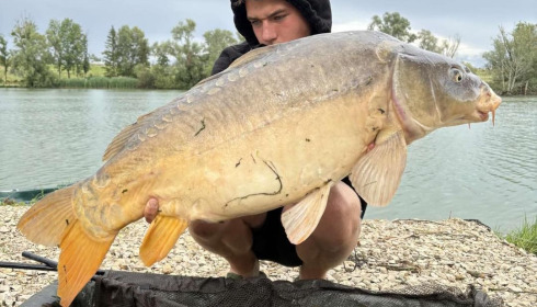 A carp from Le Sauci, Dec 2025