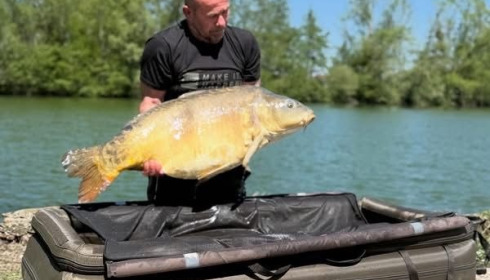 A carp from Le Sauci, Apr 2026