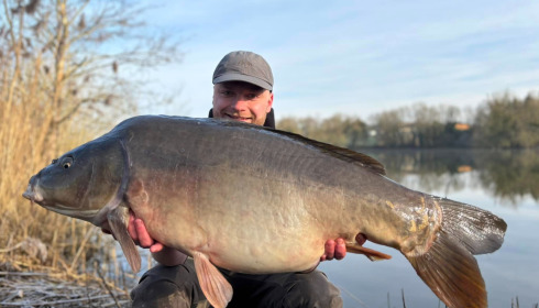 A carp from Le Sauci, Dec 2025