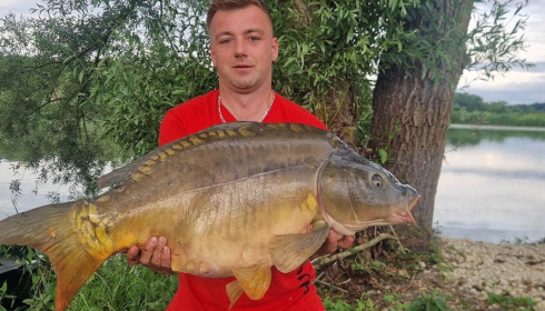 A carp from Le Sauci, Dec 2025