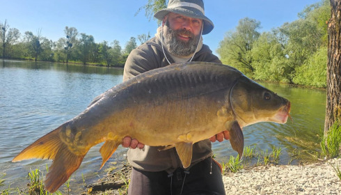 A carp from Le Sauci, Dec 2025