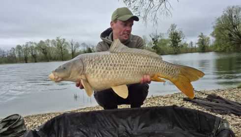 A carp from Le Sauci, Apr 2026