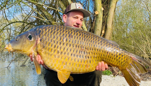 A carp from Le Sauci, Dec 2025