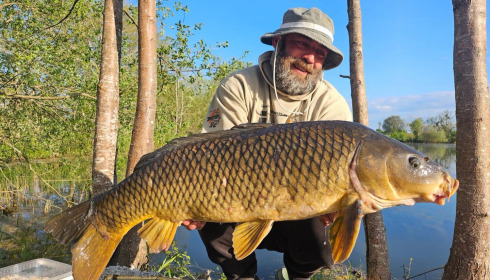 A carp from Le Sauci, Dec 2025