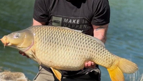 A carp from Le Sauci, Apr 2026