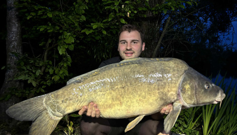A carp from Le Sauci, Dec 2025